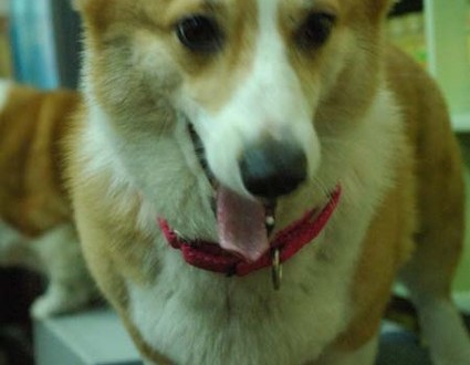 1380944259-1308261841