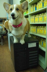 1380944259-1762655461