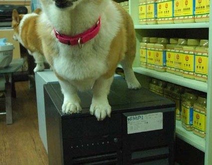 1380944259-1762655461