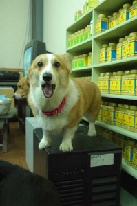 1380944259-3805932079