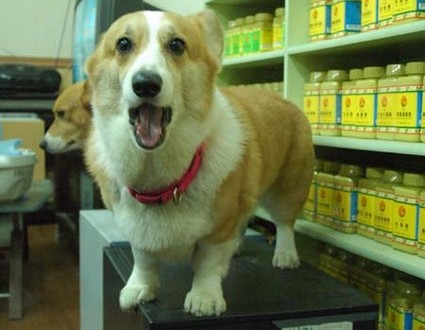 1380944259-3805932079