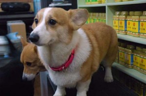 1380944260-1662390118