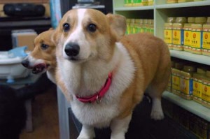 1380944260-1814163534