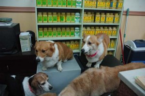 1380944260-3675572360