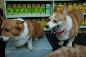 1380944261-4122813513