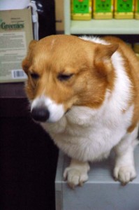 1380944262-2123188659