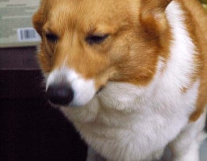 1380944262-2123188659