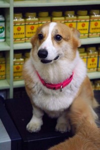 1380944262-3284636455