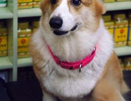 1380944262-3284636455