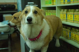 1380944263-1776812193