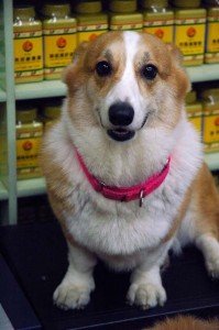 1380944263-3710615032