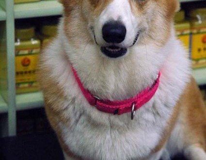 1380944263-3710615032