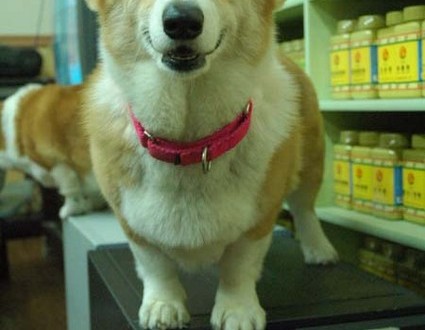 1380944264-568271565