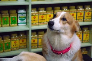 1380944265-1115545022