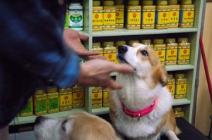 1380944265-3582469141