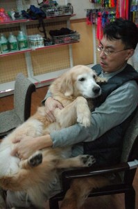 1380944266-1612755738