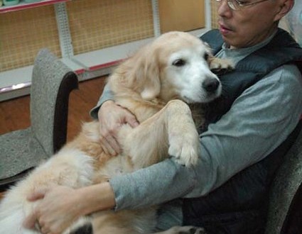 1380944266-1612755738