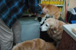 1380944266-3206557686