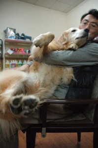 1380944267-1459178391