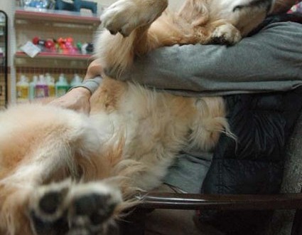 1380944267-1459178391