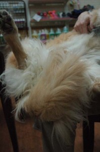 1380944267-2244817263