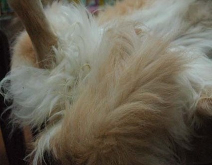 1380944267-2244817263