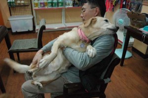 1380944268-245984290