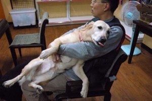 1380944269-417444077