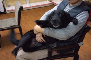 1380944270-1936990901