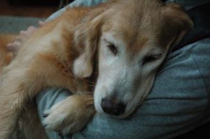 1380944270-2858358610