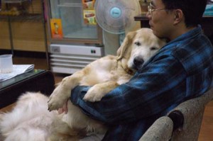 1380944272-3659742318