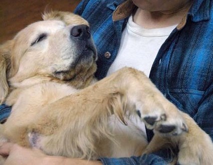 1380944273-1267191262