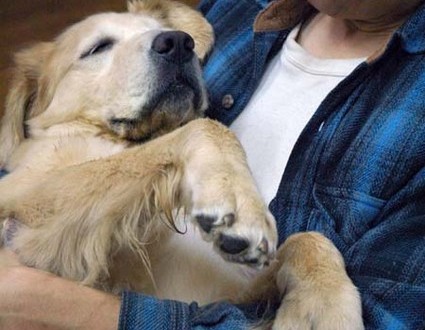 1380944273-2118871468