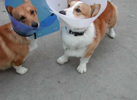 1380944274-1153214410