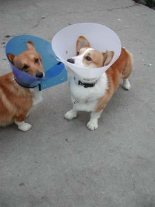 1380944274-1153214410