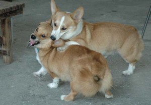 1380944275-2142136256