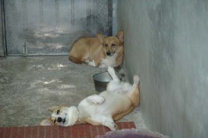 1380944275-671209268