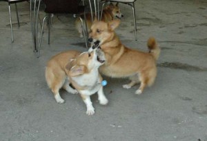 1380944276-3665976901