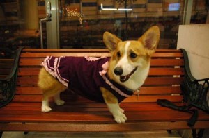 1380944276-600187091