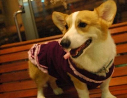 1380944277-1185311769