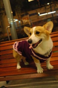 1380944277-1185311769