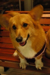 1380944277-3975896098