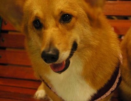 1380944277-3975896098