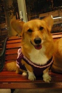 1380944278-1629625801