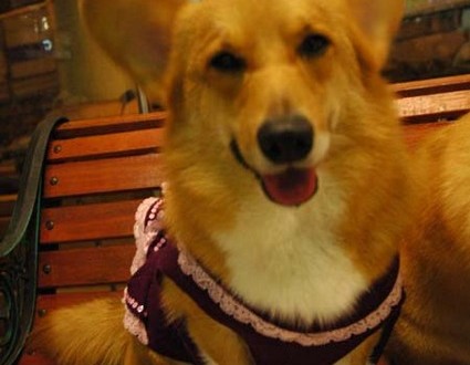 1380944278-1629625801