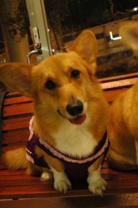 1380944278-2194495033