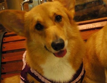 1380944278-2194495033