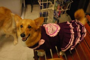 1380944278-2936731718