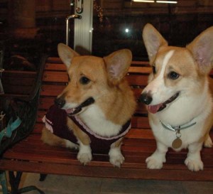 1380944279-1333303993