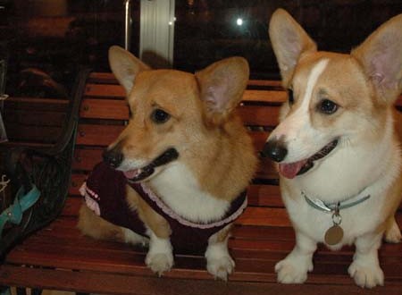 1380944279-1333303993